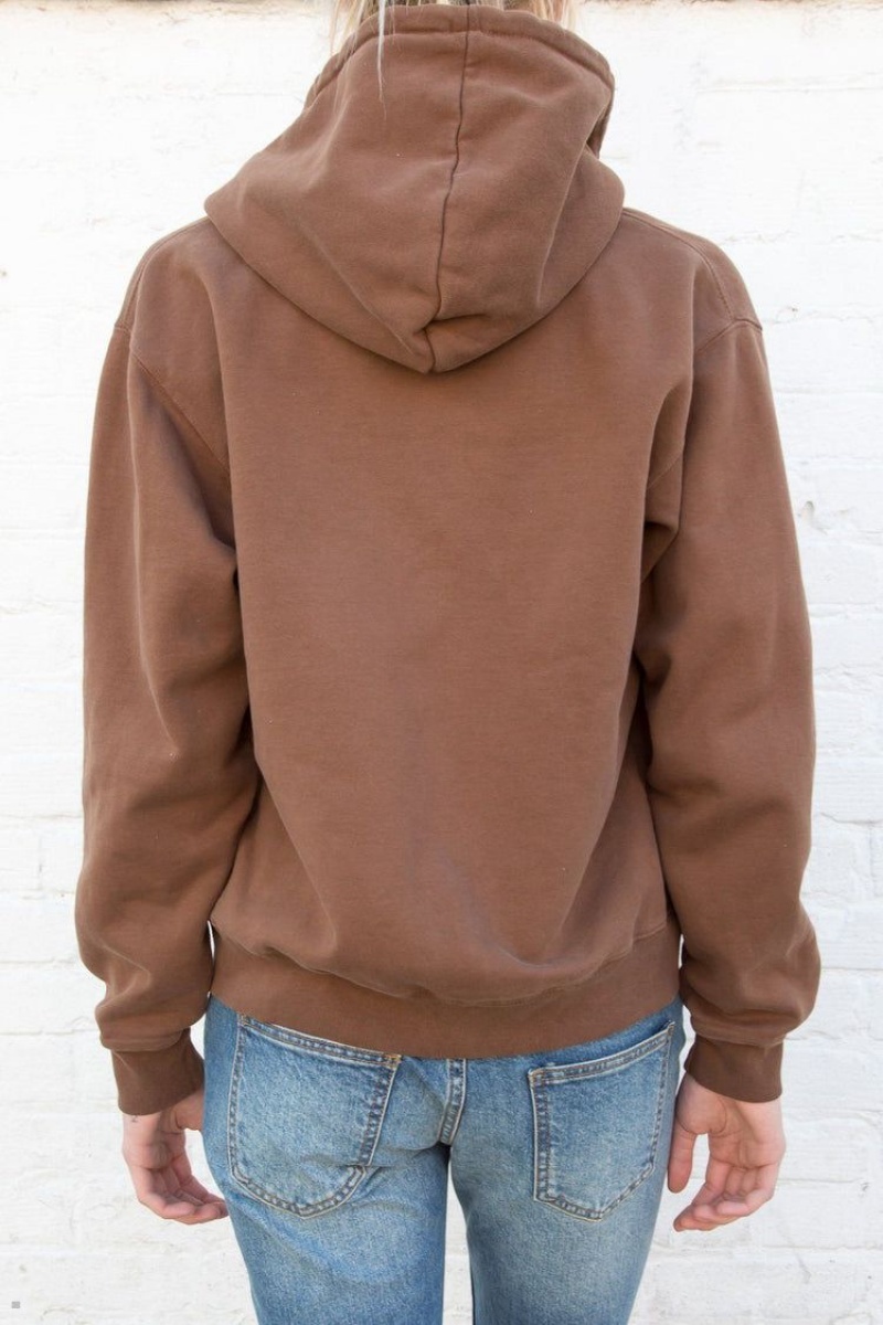 Brown Brandy Melville Christy Hoodie | USA 76549-TQJD