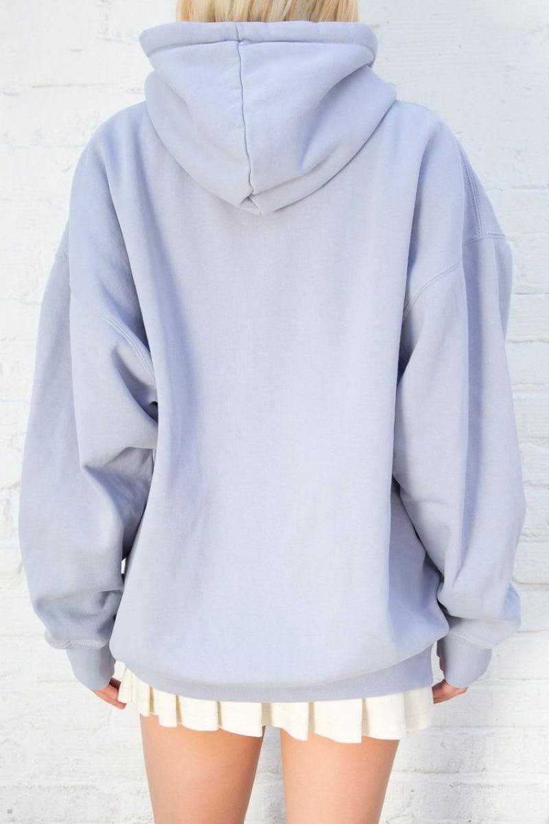 Light Blue Brandy Melville Christy Hoodie | USA 53406-KNUB