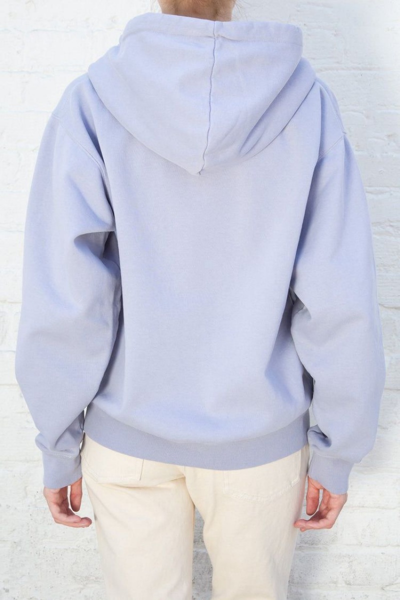 Light Blue Brandy Melville Christy Hoodie | USA 53406-KNUB