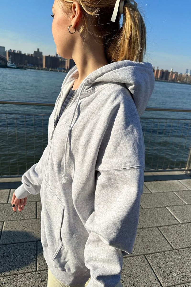 Light Grey Brandy Melville Christy Hoodie | USA 43251-DAVY